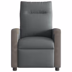 VidaXL 4104840 fauteuil