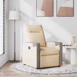 VidaXL 4104842 fauteuil