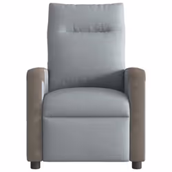 VidaXL 4104844 fauteuil