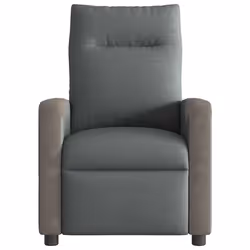 VidaXL 4104845 fauteuil