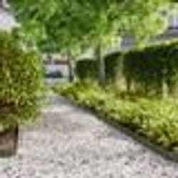 vidaXL Bordures pelouse 50pcs vert olive 10x103cm acier laminé à froid