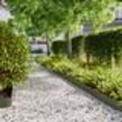 vidaXL Bordures pelouse 10pcs vert olive 15x103cm acier laminé à froid