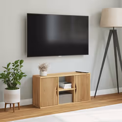 VidaXL 4103603 Support TV et centre de divertissement