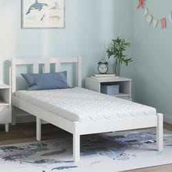 Vidaxl - Matelas Blanc 160 X 80 Cm Mousse