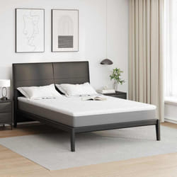 Coussins De Matelas Blanc 160 X 200 Cm Polyester Sans Colle Vidaxl