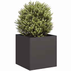 Améliorez vos espaces extérieurs avec cette élégante jardinière, parfaite pour les jardins, les balcons et les patios. Matéri ...