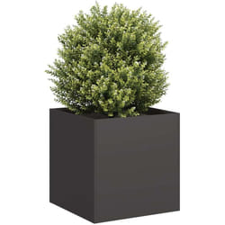 Vidaxl - Jardinière noir 40x40x40 cm acier laminé à froid