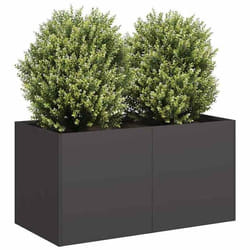 vidaXL Jardinière noir 80x40x40 cm acier laminé à froid pot de fleurs support de plantes lit surélevé support de 860668