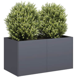 Vidaxl - Jardinière anthracite 80x40x40 cm acier laminé à froid