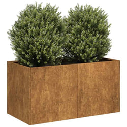 Vidaxl - Jardinière rouillé 80x40x40 cm acier inoxydable