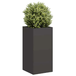 vidaXL Jardinière acier laminé à froid - Noir