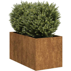 Vidaxl - Jardinière rouillé 40x80x40 cm acier inoxydable