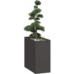 Vidaxl - Jardinière noir 40x80x80 cm acier