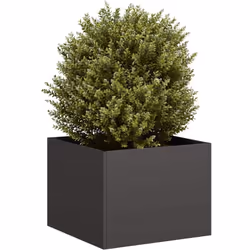 Améliorez vos espaces extérieurs avec cette élégante jardinière, parfaite pour les jardins, les balcons et les patios. Matéri ...