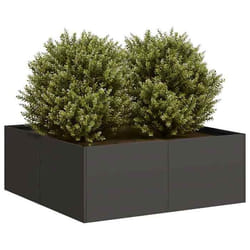Jardinière Noir 80x80x30 Cm Acier Vidaxl