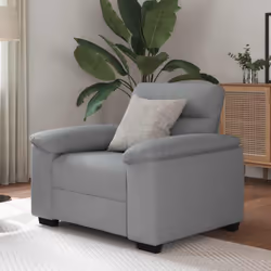 Ce fauteuil est un excellent endroit pour discuter, lire, regarder la télévision ou simplement vous détendre. Il est destiné  ...