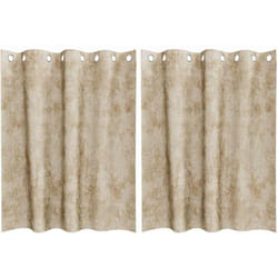 Rideau avec des rideaux 2 pcs Crème 140 x 140 cm Velours Vidaxl