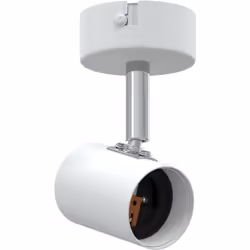 Ce projecteur de plafond vidaXL est un choix intelligent et stylé qui illumine vraiment n'importe quel espace de vie. Parfait ...