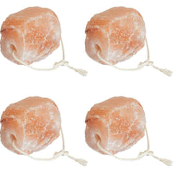 Vidaxl - Pierres à lécher 4 pcs avec cordes pour le bétail 10 kg Rose