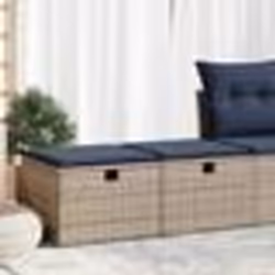 vidaXL Salon de jardin 2 pcs avec coussins gris résine tressée acacia