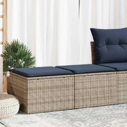 vidaXL Salon de jardin 2 pcs avec coussins gris résine tressée acacia
