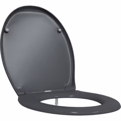 Ce siège de toilette ovale contemporain en anthracite combine un design moderne avec une utilisation facile, ce qui en fait u ...
