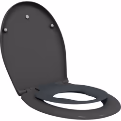 Le Siège de Toilette Ovale Duroplast Moderne combine style et fonctionnalité, ce qui le rend parfait pour toute salle de bain ...