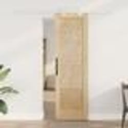 Porte coulissante vidaXL avec quincaillerie 61x198.5 cm Bois massif Pin