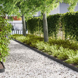 vidaXL Bordures de jardin 50 pcs Noir 100x0.5x15 cm Plastique