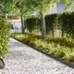 vidaXL Bordures de jardin 20 pcs Vert olive 100x0.5x15 cm Plastique