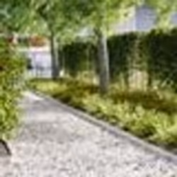 vidaXL Bordures de jardin 50 pcs 100x0.5x15 cm Acier inoxydable
