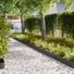 vidaXL Bordures de Jardin 10 pcs Noires 100x0.5x20 cm Fer