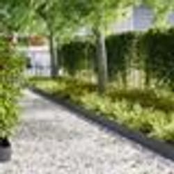 vidaXL Bordures de Jardin 20 pcs Anthracite 100x0,5x20 cm Plastique