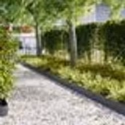 vidaXL Bordures de jardin 30 pcs Anthracite 100x0,5x20 cm Acier