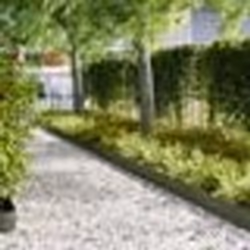 vidaXL Bordures de Pelouse 30 pcs Vert Olive 100x0.5x20 cm Acier