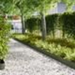 vidaXL Bordures de Pelouse 30 pcs Vert Olive 100x0.5x20 cm Acier