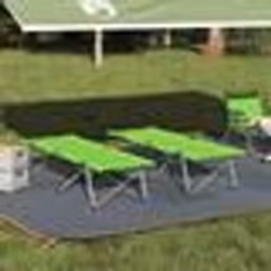vidaXL Lit de camping pliant Vert foncé Cadre en métal avec surface en tissu