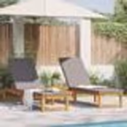 vidaXL Chaises longues 2 pcs avec coussins en bois d'acacia massif