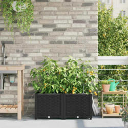 vidaXL Jardinières avec Système d'Irrigation 2 pcs - Noir