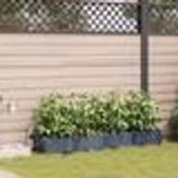 vidaXL Jardinières de jardin 1 pc Gris 160 x 40 x 22 cm Plastique