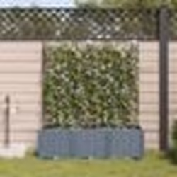 vidaXL Jardinières de jardin 1 pc Gris clair 120 x 40 x 142 cm