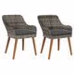 vidaXL Chaises de jardin avec coussins 2 pcs Gris Poly Rattan