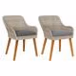 vidaXL Chaises de jardin avec coussins 2 pcs Gris clair Rattan synthétique
