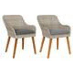 vidaXL Chaises de jardin avec coussins 2 pcs Gris clair Rattan synthétique
