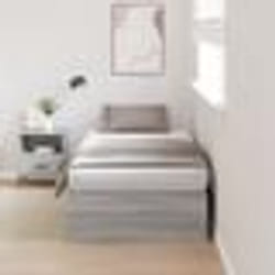Lit de rangement vidaXL Gris Sonoma 90x200 cm 3335346