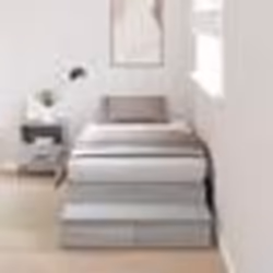 vidaXL Cadre de lit de rangement Gris Sonoma 100x200 cm 3335618