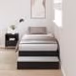 vidaXL Cadre de lit de rangement Noir Chêne 90x190 cm 3335670