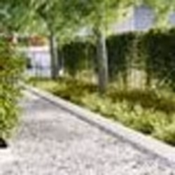 vidaXL Bordures de jardin 50 pcs Blanc 100x0,5x20 cm Acier