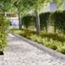 vidaXL Bordures de jardin 50 pcs 100x0,5x20 cm Acier inoxydable