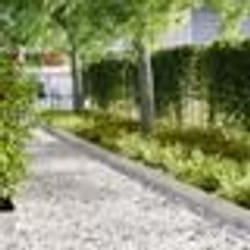 vidaXL Bordures de jardin 50 pcs 100x0,5x20 cm Acier inoxydable